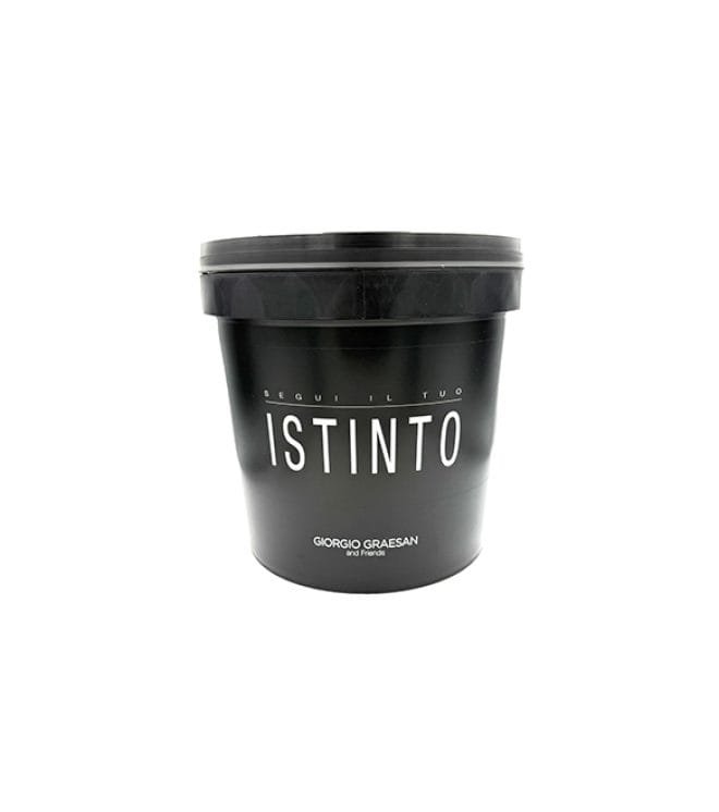 SEGUI IL TUO ISTINTO GIORGIO GRAESAN 1 SEGUI IL TUO ISTINTO GIORGIO GRAESAN